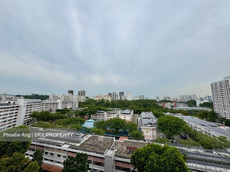 Blk 356 Clementi Avenue 2 (Clementi), HDB 5 Rooms #500505301